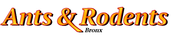 Bronx Ant Exterminator & Rodent Control Company Logo